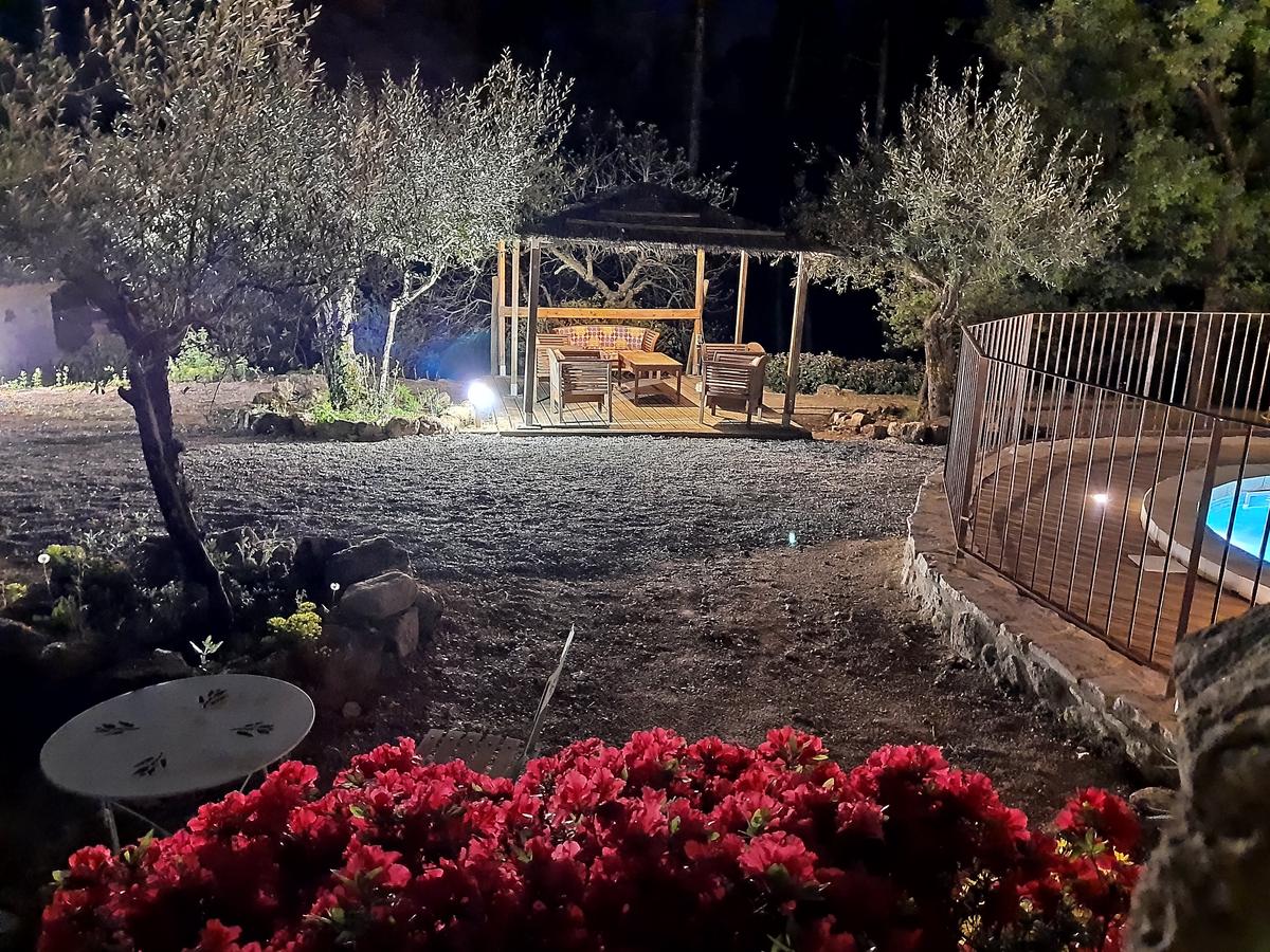 Pergola et oliviers du jardin