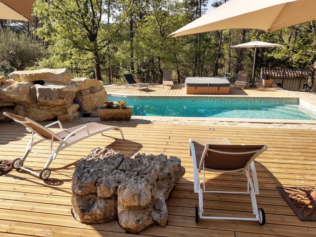 Vue d'ensemble piscine, spa et bois alentour